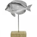 Floristik24 Ryba na umístění, námořní dekorace, ozdobná rybka z kovu stříbro, přírodní barvy V23cm