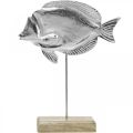 Floristik24 Dekorativní ryba, námořní dekorace, ryba ze stříbrného kovu, barva přírodní V28,5cm