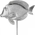 Floristik24 Dekorativní ryba, námořní dekorace, ryba ze stříbrného kovu, barva přírodní V28,5cm