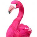 Floristik24 Dekorativní ptáček Flamingo Pink V46cm