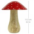 Floristik24 Mucholapka deco dřevěná houbová podzimní dekorace dřevo 11,5×Ø10cm