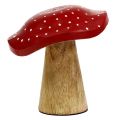 Floristik24 Mucholapka dřevitá houbová mix 9cm -10,5cm červená, přírodní 8ks
