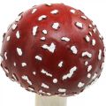 Floristik24 Deco muchovník červená, bílá podzimní dekorace houba Ø10,5cm V21cm
