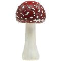 Floristik24 Deco muchovník červená, bílá podzimní dekorace houba Ø10,5cm V21cm