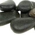 Floristik24 říční oblázky matné černé přírodní kameny dekorativní kameny d. 15–60 mm š. 15–40 mm 2kg