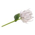 Floristik24 Pěnový květ bílý, fialový 12cm L30cm 1ks