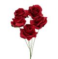Floristik24 Pěnová růže Ø4,5cm červená 36str