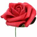 Floristik24 Pěnová růže Ø3,5cm červená 48str