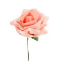 Floristik24 Pěnová růže Ø 10cm lososová 8ks