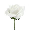 Floristik24 Pěnová růže Ø 3,5cm bílá 48 kusů