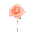 Floristik24 Pěnová růže Ø 3,5cm lososová 48p