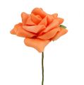 Floristik24 Pěnová růže Ø7,5cm oranžová 18str