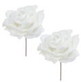 Floristik24 Pěnová růže bílá Ø10cm zasněžená 6ks
