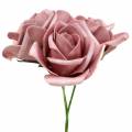 Floristik24 Pěnová růže Ø7,5cm starorůžová 18str