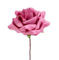 Floristik24 Pěnová růže Erika Ø10cm 8 kusů
