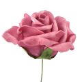 Floristik24 Pěnová růže na drátě minirůže starorůžová Ø5cm 27ks