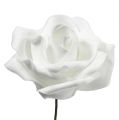 Floristik24 Pěnová růže bílá Ø10cm 8ks