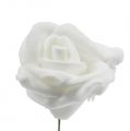 Floristik24 Pěnové růže bílé Ø3,5cm 20ks