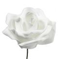 Floristik24 Pěnové růže bílé Ø5cm 12ks