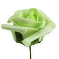 Floristik24 Pěnová růže Ø4,5cm zelená 36str
