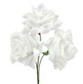 Floristik24 Pěnové růže bílé Ø10cm 8ks