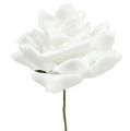 Floristik24 Pěnové růže bílé Ø10cm 8ks