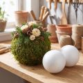 Polystyrénová koule Ø10cm bílá 5 ks | Floristik24.cz