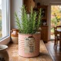 Dekorativní květináč, lososová plechová dóza na bylinky Ø8cm V7,5cm | Floristik24.cz