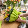 Květinářství krepový papír May green 50x250cm | Floristik24.cz