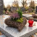 Rostlinná miska srdce hřbitov, vinné srdíčko k výsadbě 15cm 2ks | Floristik24.cz
