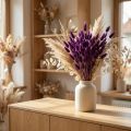 Fialka sametová, zajíčí ocas, Lagurus L20-50cm 25g | Floristik24.cz