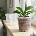 Květináč pro orchideje Ø12cm transparentní 10ks | Floristik24.cz
