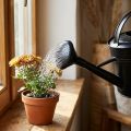 Konev sprcha černá 5l | Floristik24.cz