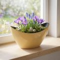 Rostlinná loď žlutá dekorativní miska pružina 20x9x12cm | Floristik24.cz