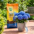 Frux Hydrangea substrát pro modré hortenzie, speciální substrát, 18 l | Floristik24.cz