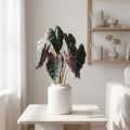 Alocasia arrow listová zelená, fialová umělá rostlina V48cm | Floristik24.cz