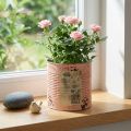 Dekorativní květináč plechovka lososový kovový květináč Ø15,5 cm V15 cm | Floristik24.cz