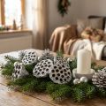 Dekorativní lotosová baňka Lotos Přírodní, bílá, 6-8 cm, 50 ks | Floristik24.cz