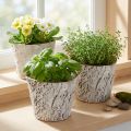 Květináč s imitací kůry, ideální pro rustikální interiérový design a dekoraci rostlin, 12 cm, 4 kusy | Floristik24.cz