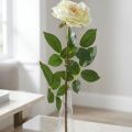 Umělá růže, dekorativní růže, hedvábný květ krémově bílá, zelená L72cm Ø12cm | Floristik24.cz
