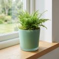 Skleněný květináč zelený květináč skleněná vana Ø11,5cm H11cm | Floristik24.cz