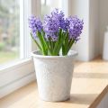 Květináč s ornamenty, květináč, kovová nádoba, bílá, Ø15,5 cm, V14,5 cm | Floristik24.cz