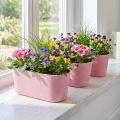 Miska na výsadbu lodiček oválná růžová 27×11×10cm 3ks | Floristik24.cz