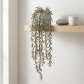 Sukulentní úponek zelený, bronzová metalíza 114cm | Floristik24.cz