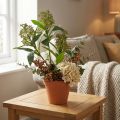 Umělé zelené květy Skimmia japonica, 45 cm, 2 kusy | Floristik24.cz