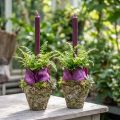 Květináč rustikální lesní vzhled Ø12,5 cm V12 cm 2 ks | Floristik24.cz