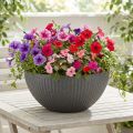 Plastová miska na rostliny antracitová Ø35cm V16,5cm | Floristik24.cz