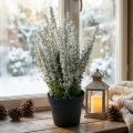 Erika bílý vřes metla vřes umělá rostlina V26cm | Floristik24.cz