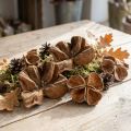 Landlotus Nature 50 ks | Floristik24.cz