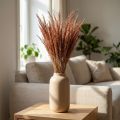Red Bent Grass Agrostis Suchá Grass Red Brown 65cm 80g | Floristik24.cz
